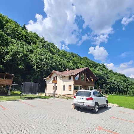 Pensiune Subcrai Cu Centru Spa Зэрнешти Экстерьер фото